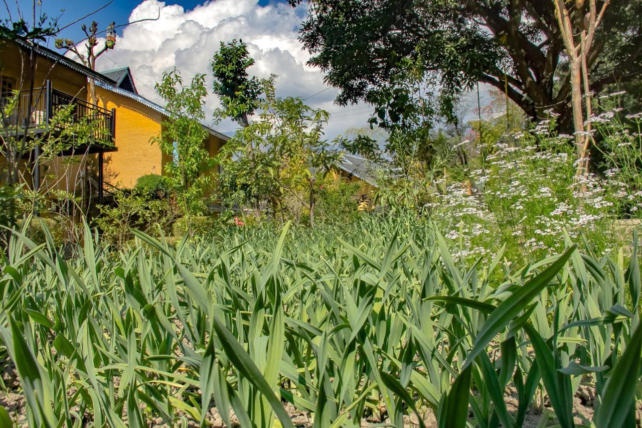 Prakriti Aalay - Riverside Mountain View Boutique Eco Resort Dharamshala Exterior foto